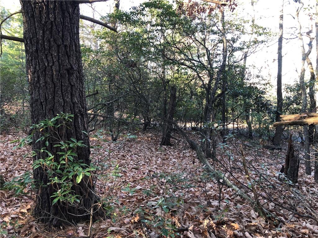 Lot 72-73 Buck Mountain Road Purlear, NC 28665 - Photo 10 of 44