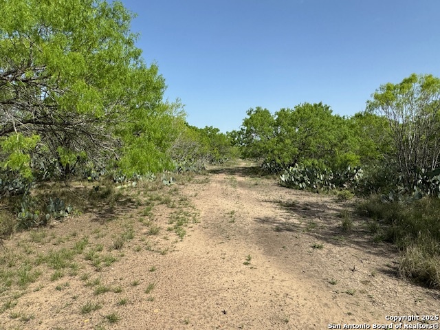 14 Windmill Ranchettes Cr 329 Jourdanton, TX 78026 - Photo 1 of 4