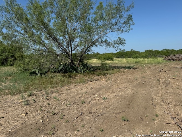 14 Windmill Ranchettes Cr 329 Jourdanton, TX 78026 - Photo 4 of 4