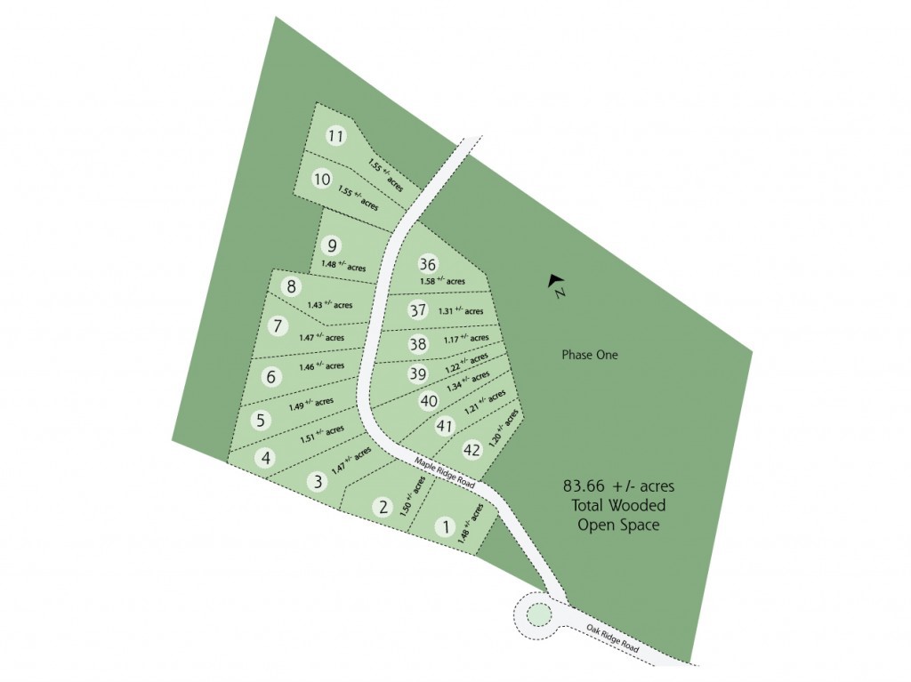 Lot 38 Maple Ridge Road Nottingham, NH 03290 - Photo 14 of 14