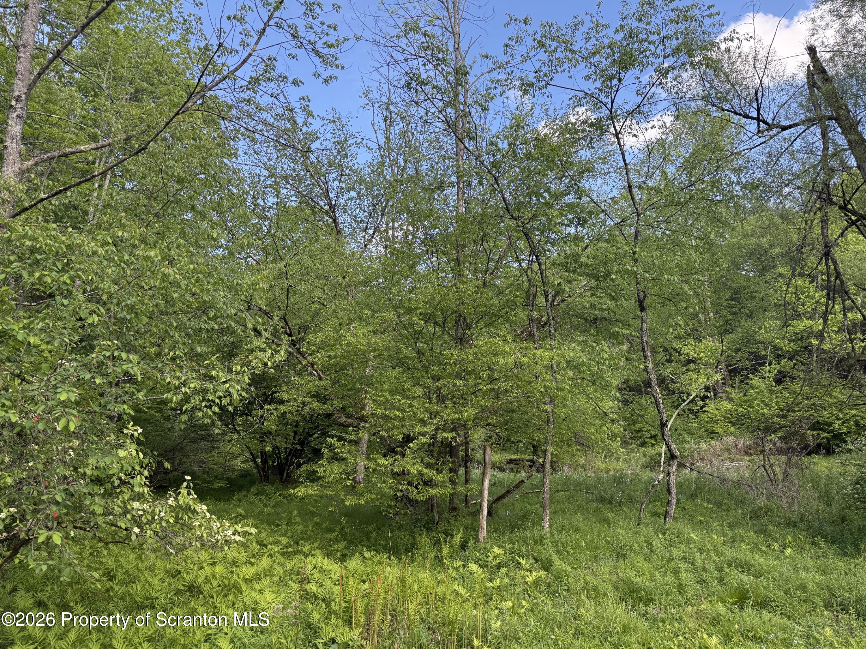 220 Brinkman Road Brackney, PA 18812 - Photo 32 of 32 Woods