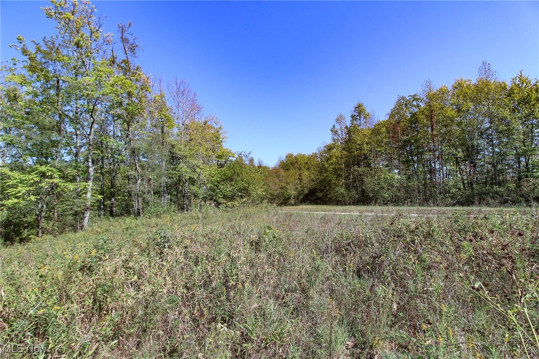 Lot 3 Moss Run Road Marietta, OH 45750 - Photo 5 of 14 View of tree filled area