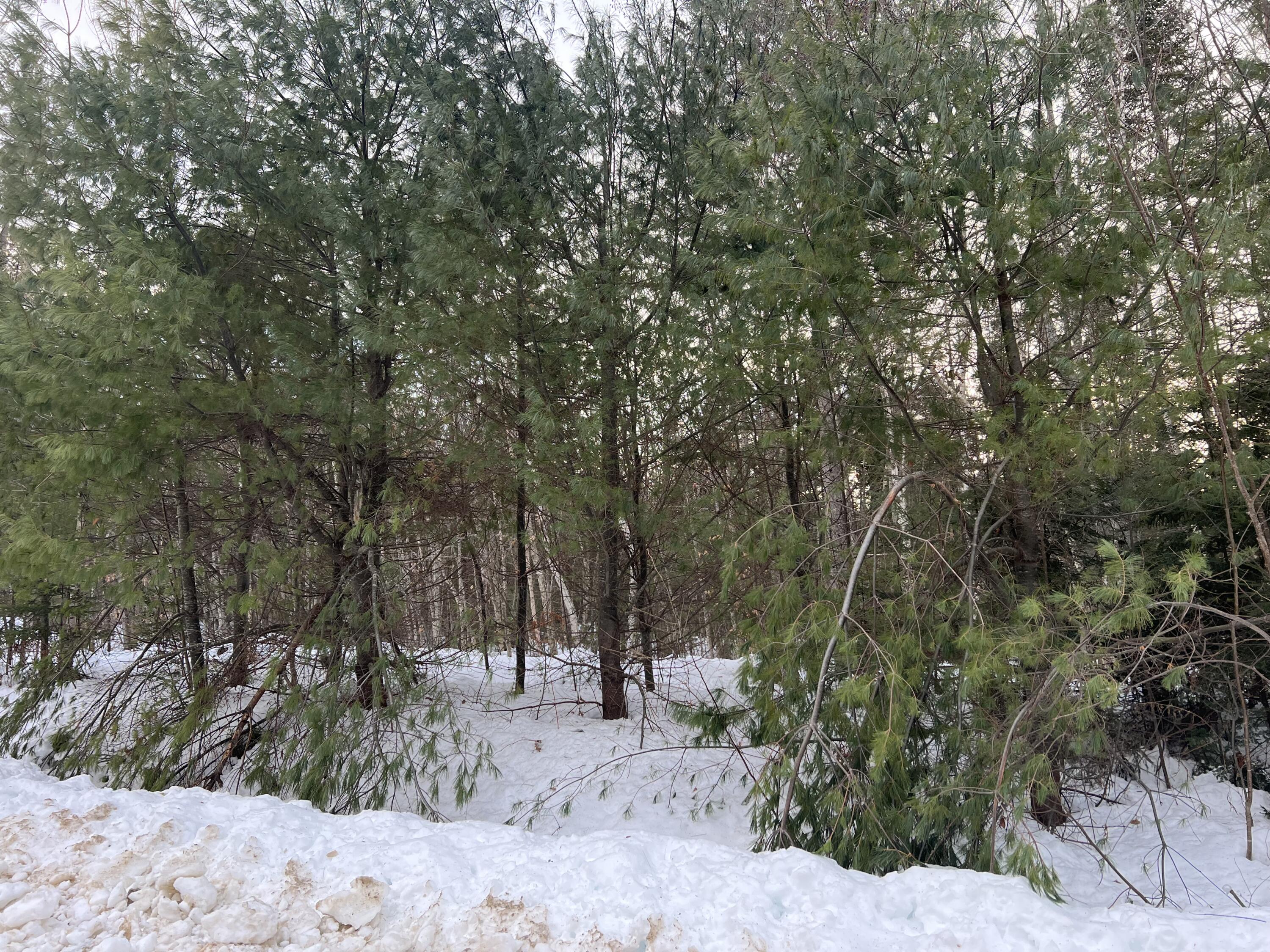 Lot 5 Grandview Road Bethel, ME 04217 - Photo 3 of 3 IMG-5272