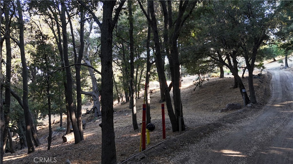 722 Mojave River Road Cedarpines Park, CA 92322 - Photo 3 of 13