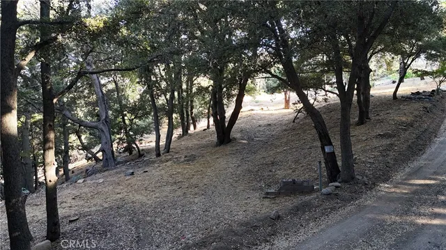 $19,000 | 722 Mojave River Road, Cedarpines Park, CA 92322