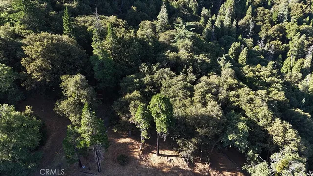 $19,000 | 722 Mojave River Road, Cedarpines Park, CA 92322