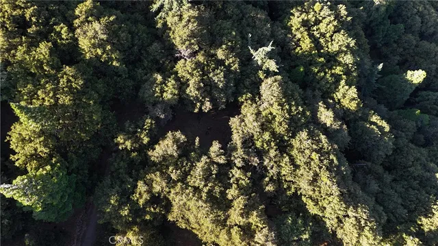 $19,000 | 722 Mojave River Road, Cedarpines Park, CA 92322