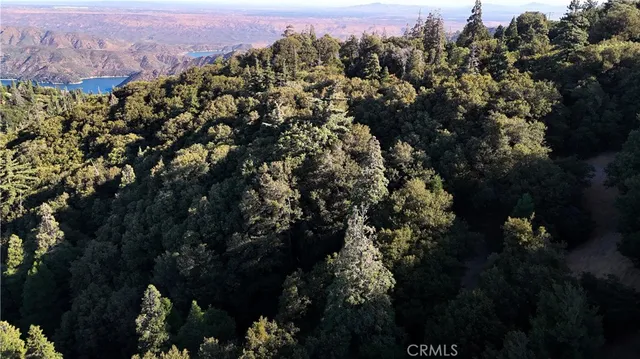 $19,000 | 722 Mojave River Road, Cedarpines Park, CA 92322