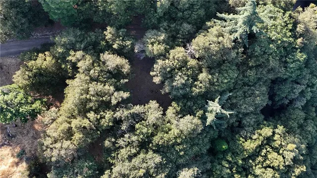 $19,000 | 722 Mojave River Road, Cedarpines Park, CA 92322