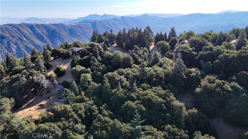 722 Mojave River Road Cedarpines Park, CA 92322 - Photo 10 of 13 Views of surrounding area