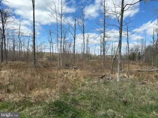 Cherry Ridge Rd Mount Mount Storm, WV 26739 - Photo 3 of 8