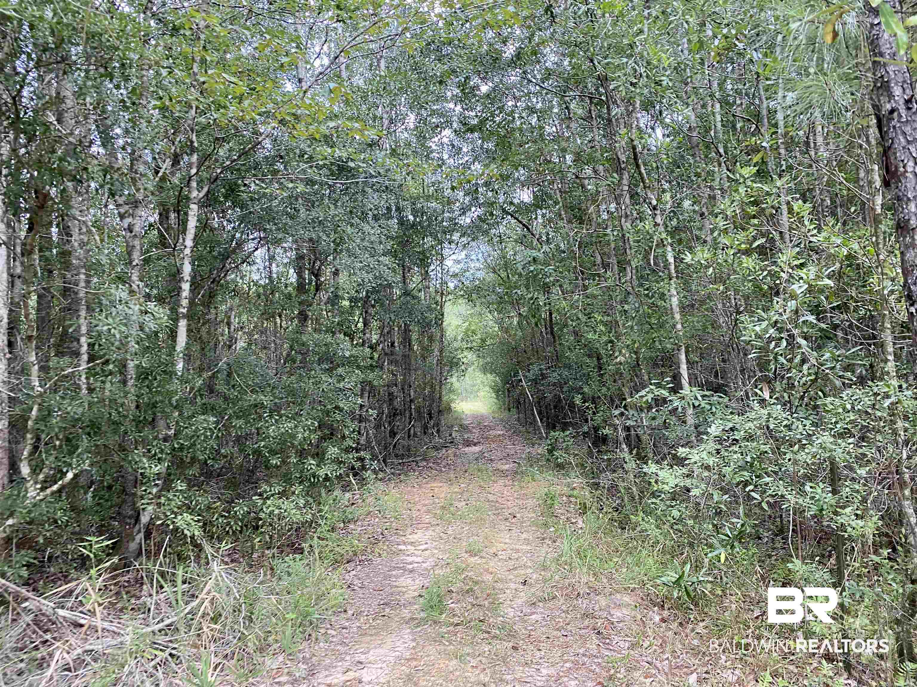 21305 River Road Robertsdale, AL 36567 - Photo 15 of 50 TRAIL TO NW CLEARING