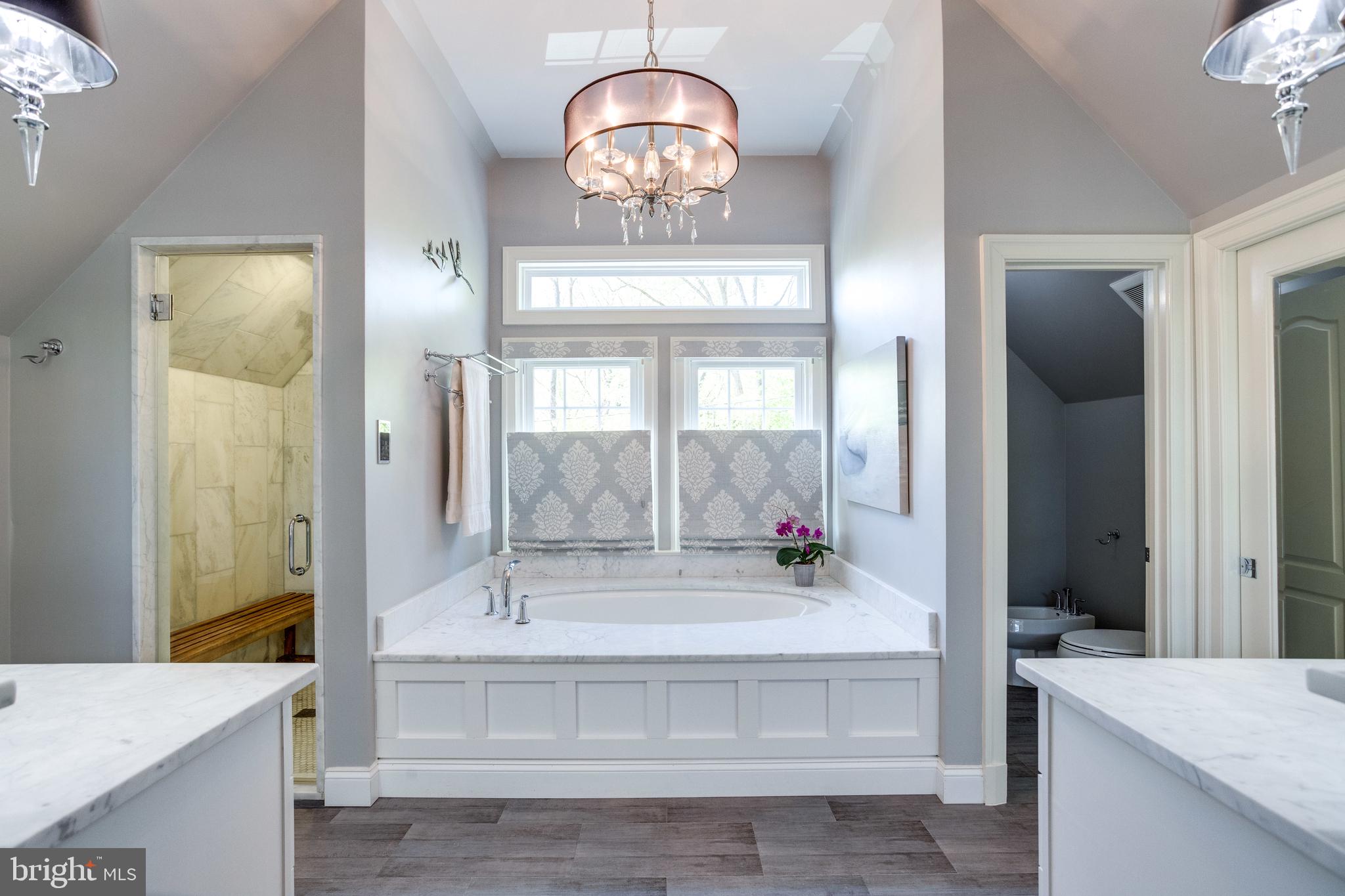 1017 Turkey Run Road McLean, VA 22101 - Photo 23 of 57 Primary Spa Bath