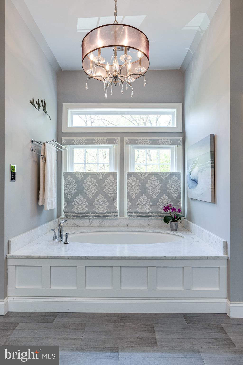 1017 Turkey Run Road McLean, VA 22101 - Photo 24 of 57 Primary Spa Bath