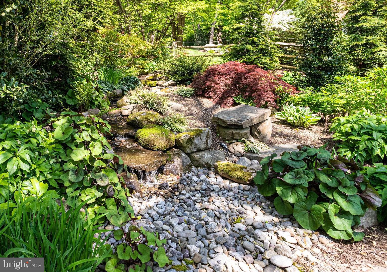 1017 Turkey Run Road McLean, VA 22101 - Photo 53 of 57 Waterfall in Back Yard