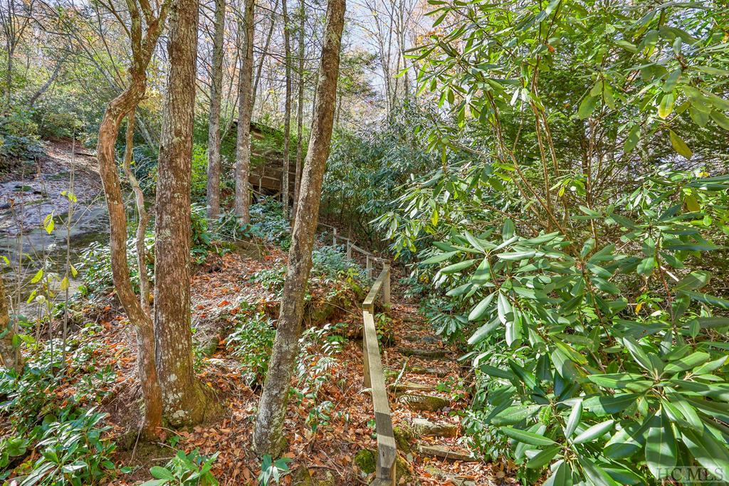1471 Falcon Ridge Highlands, NC 28741 - Photo 49 of 57 Gallery Image 49