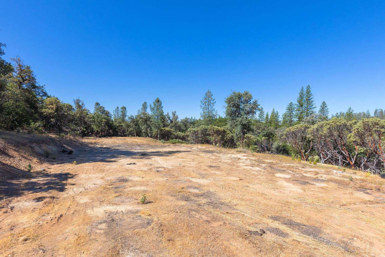 12996 Deadmans Flat Road Grass Valley, CA 95945 - Photo 2 of 12 a view of a yard with trees in the background