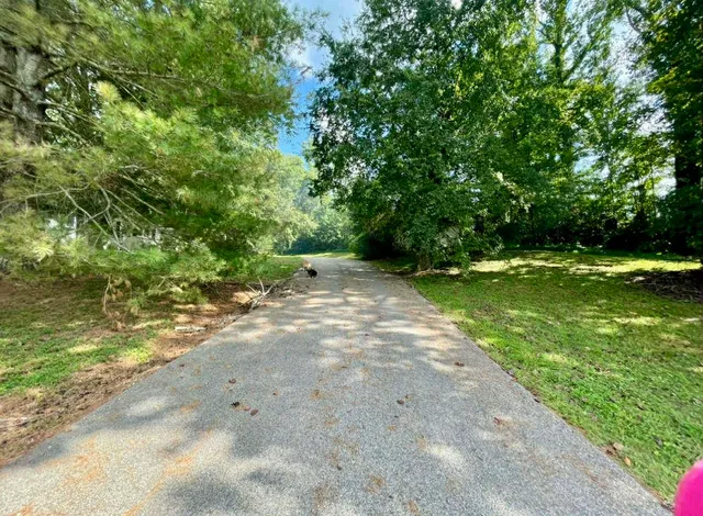 a view of a yard with a tree
