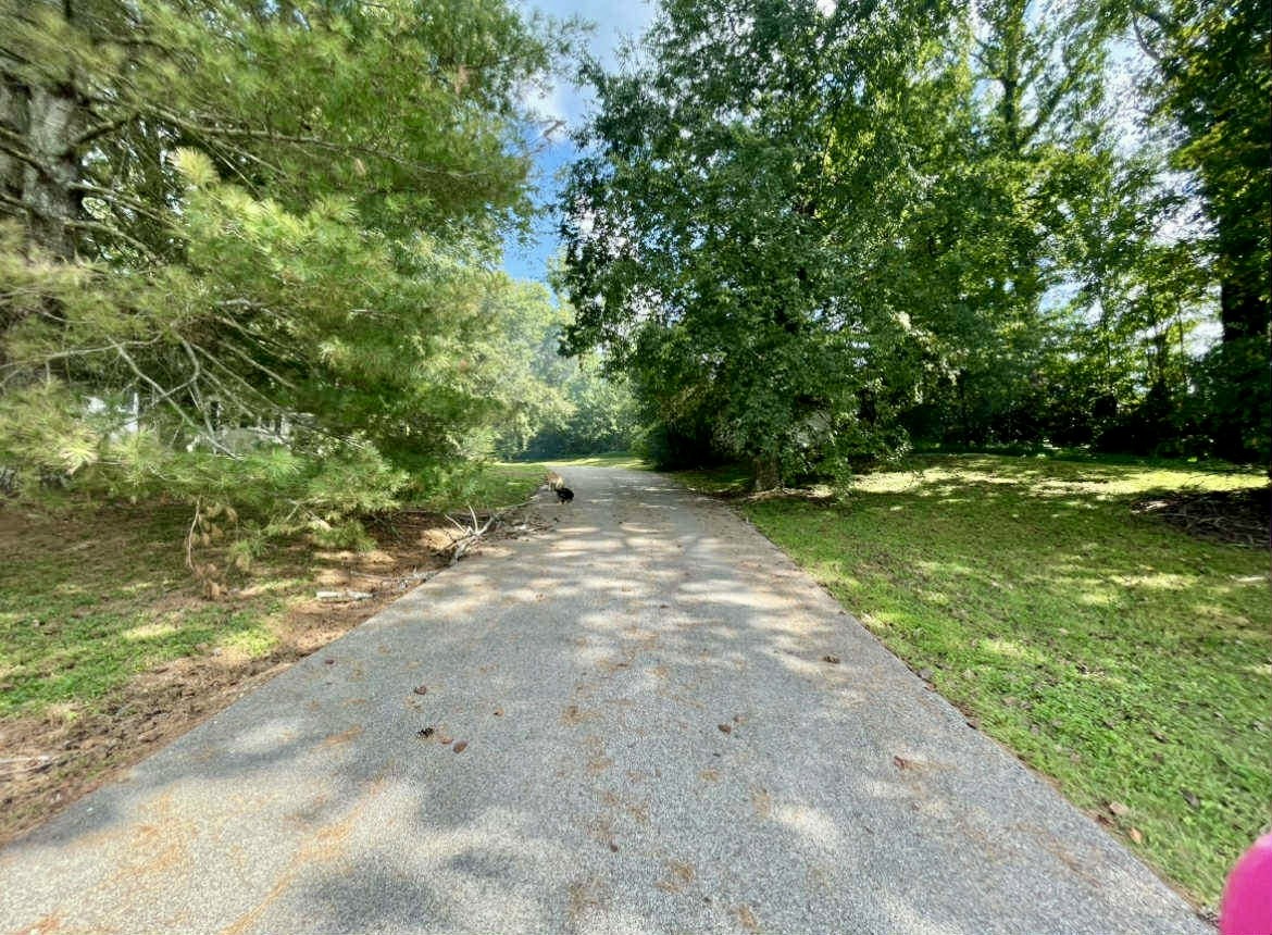 1623 Industrial Loop Road Pulaski, TN 38478 - Photo 3 of 6 Gallery Image 3