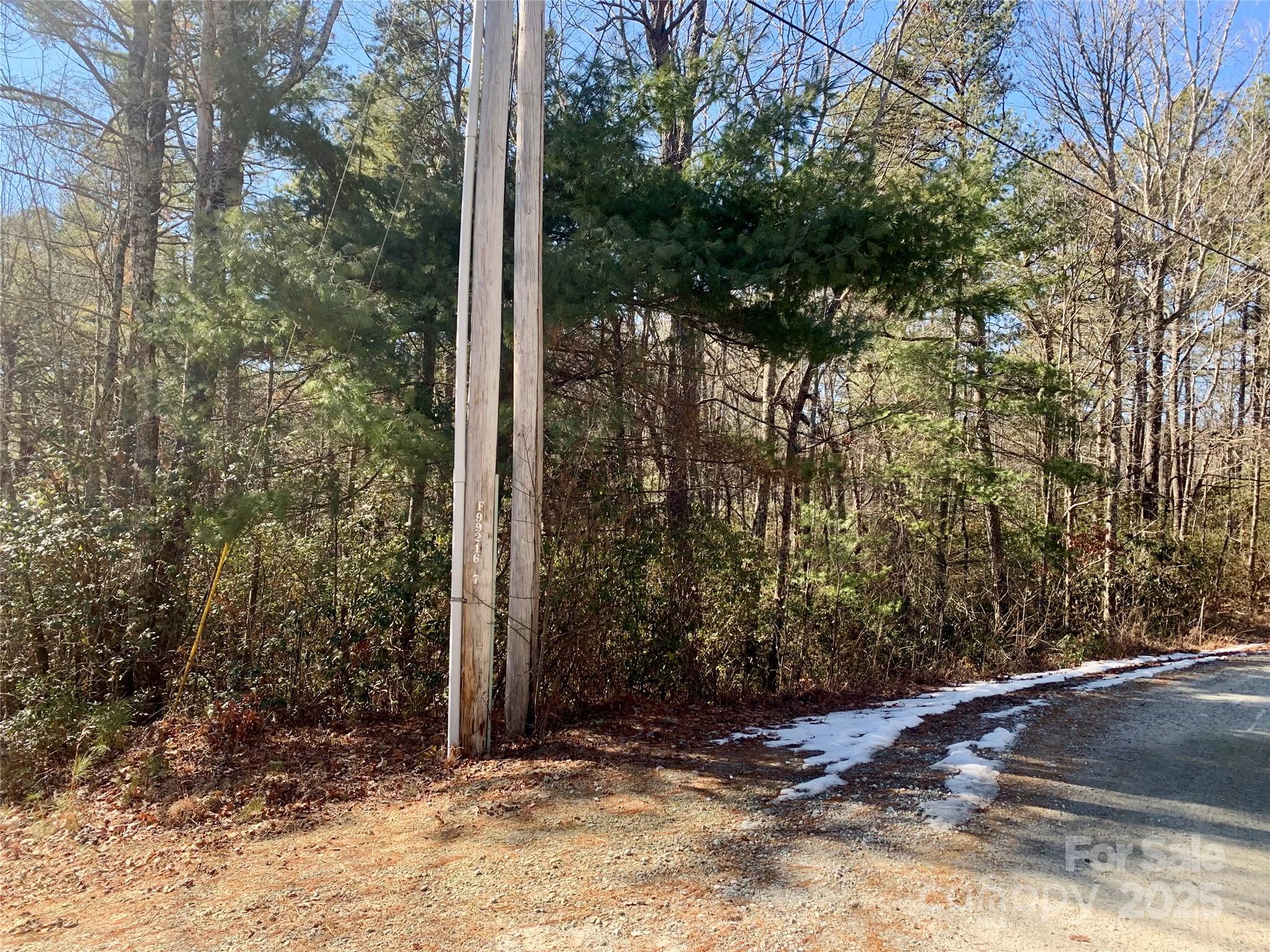Lot 18 Oak Rdg Drive, Unit 18 Brevard, NC 28712 - Photo 2 of 9 a view of a house with a tree