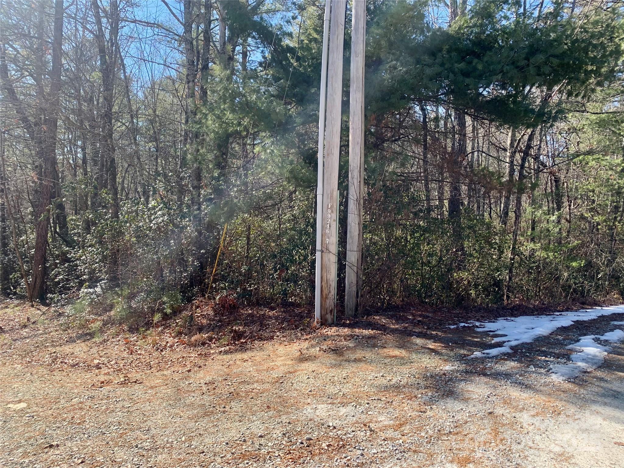 Lot 18 Oak Rdg Drive, Unit 18 Brevard, NC 28712 - Photo 5 of 9 a view of a yard with trees