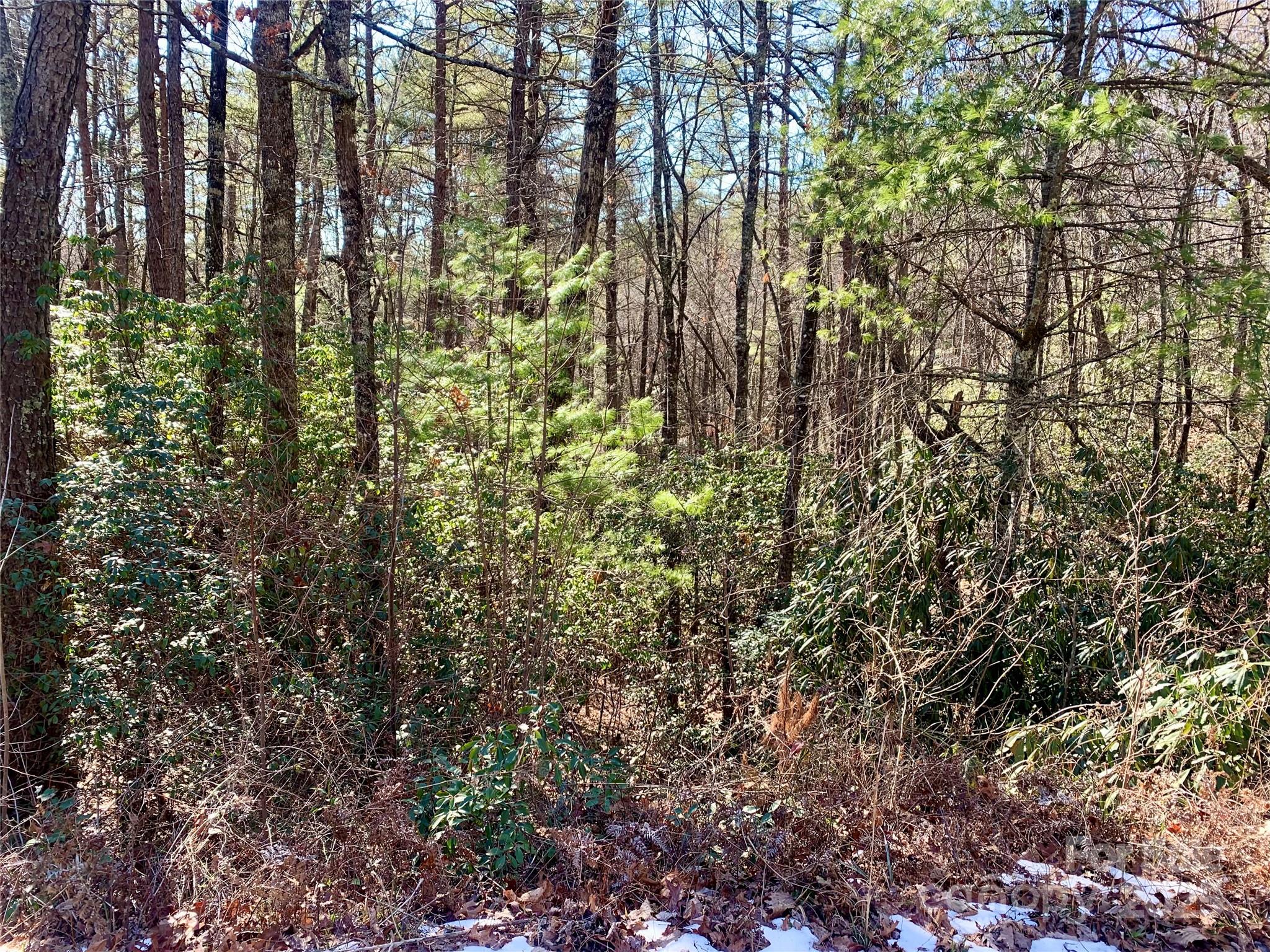 Lot 18 Oak Rdg Drive, Unit 18 Brevard, NC 28712 - Photo 7 of 9 a view of forest