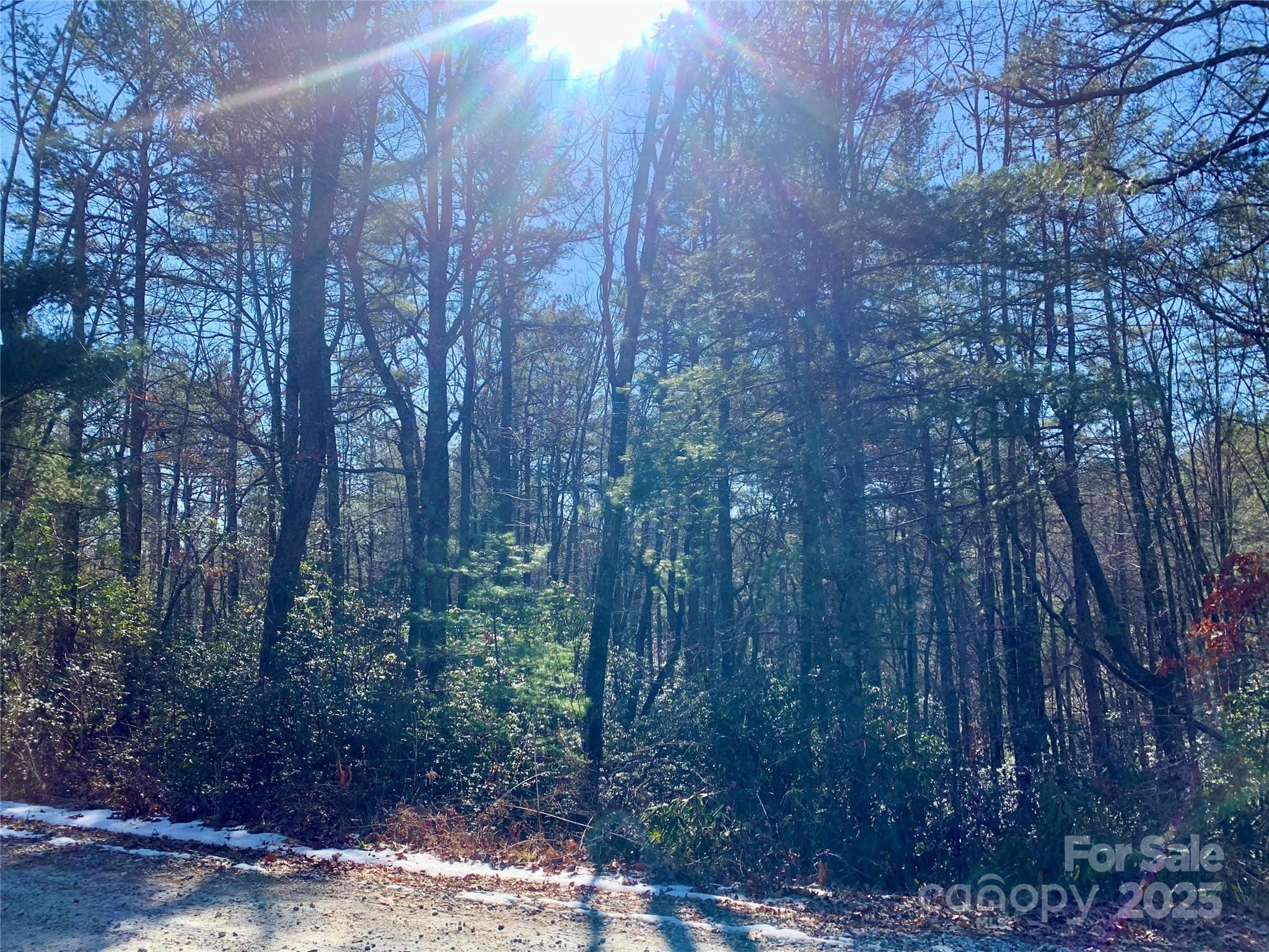 Lot 18 Oak Rdg Drive, Unit 18 Brevard, NC 28712 - Photo 8 of 9 a view of a yard with trees