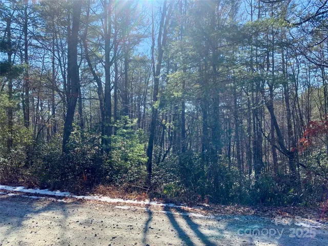 a view of a yard with trees