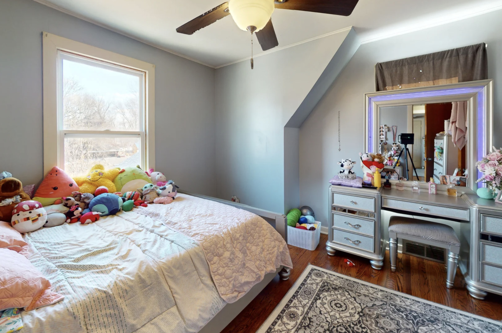 423 South Main Street Montgomery, IL 60538 - Photo 8 of 18