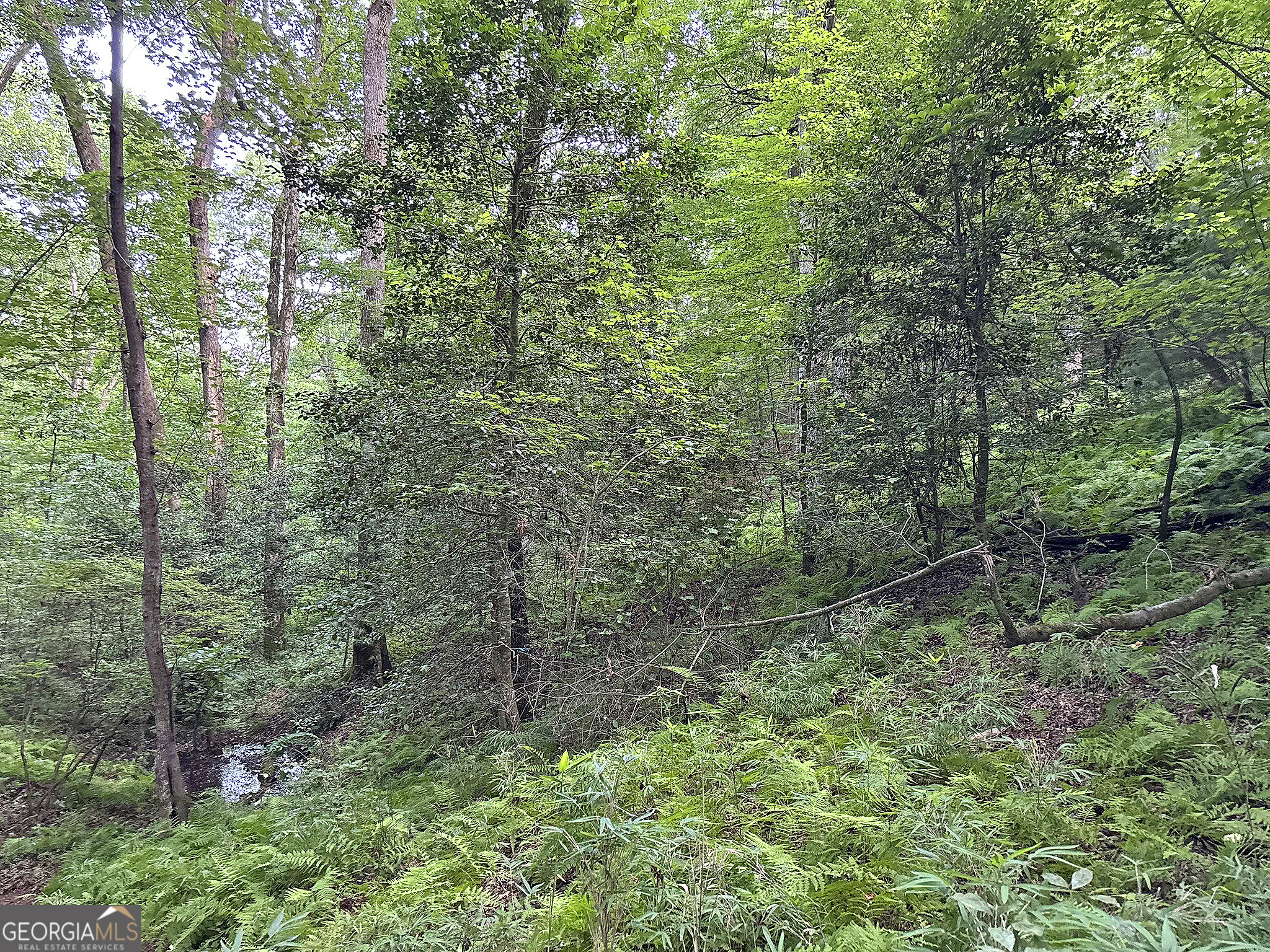 Lot 20 Mt Springer Road Ellijay, GA 30540 - Photo 23 of 32