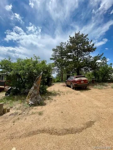 a view of a yard with a tree