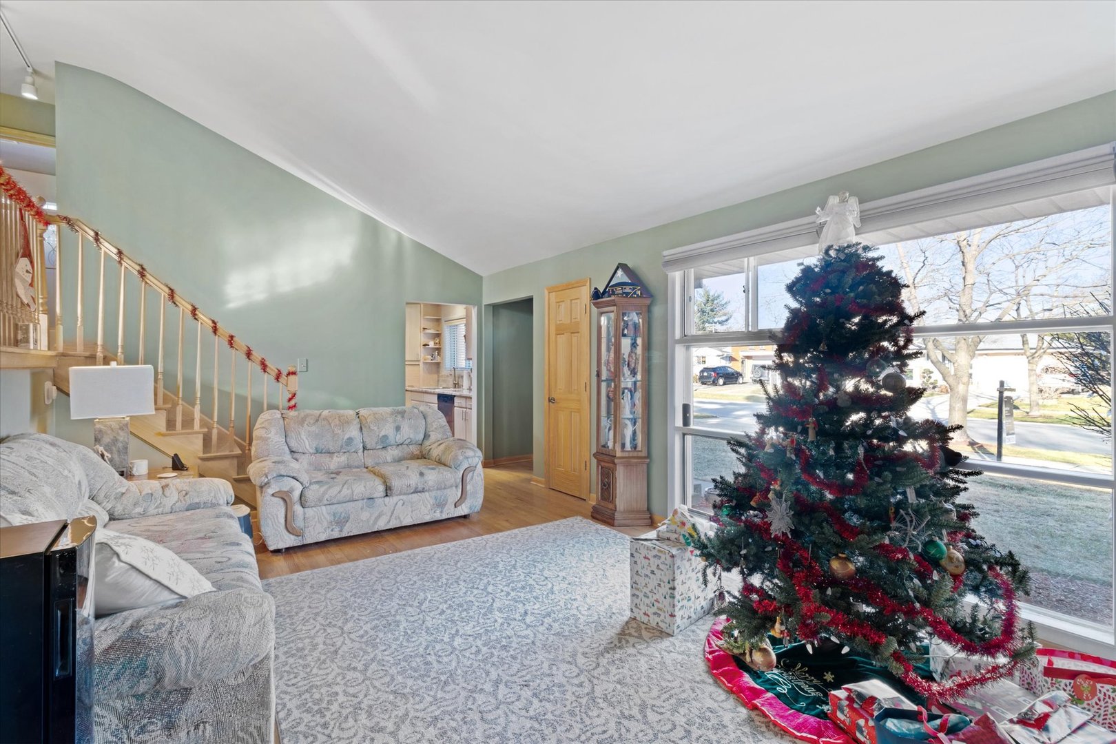 356 East Church Street Elmhurst, IL 60126 - Photo 3 of 16 a living room with furniture and a potted plant