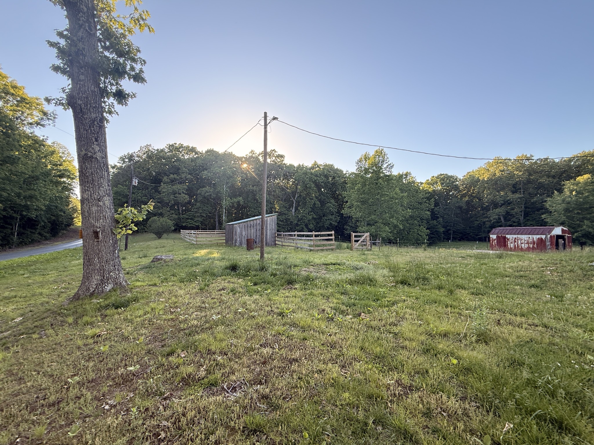 4585 Copper Spring Road Springville, TN 38256 - Photo 8 of 21