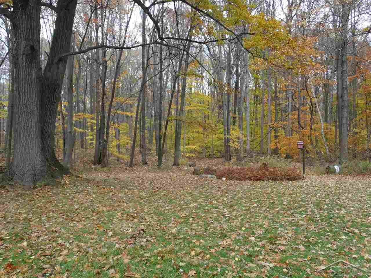 10245 Block Birch Run Birch Run, MI 48415 - Photo 15 of 15