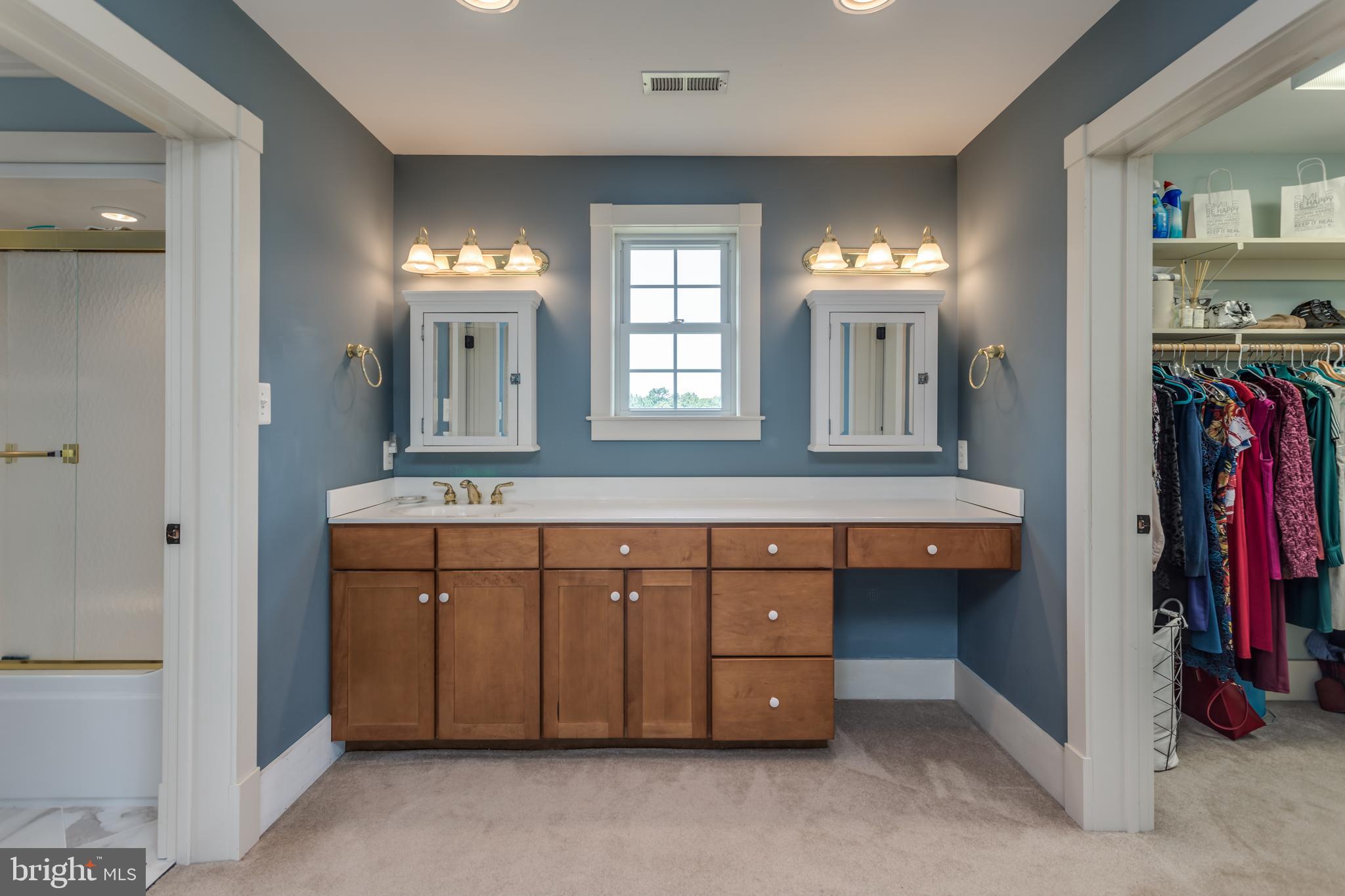 317 Aaron Mountain Road Castleton, VA 22716 - Photo 33 of 65 Master Bath with walk-in closet