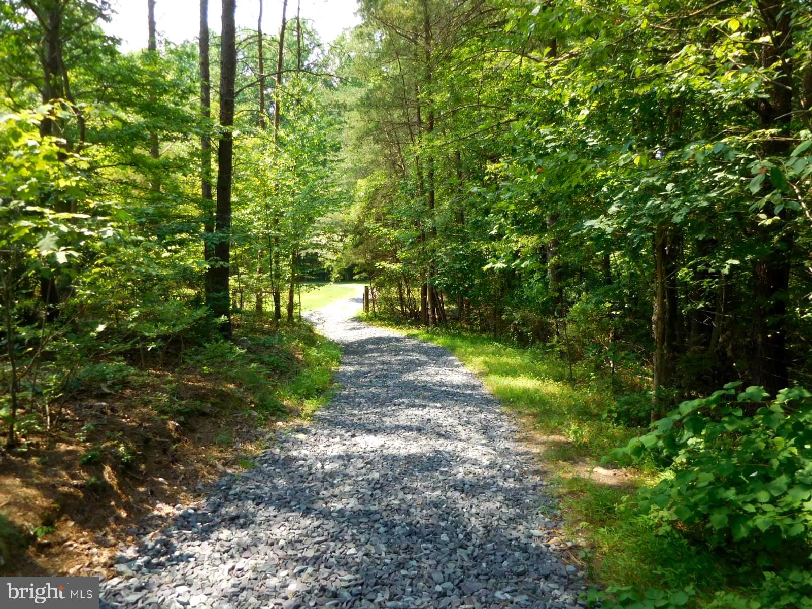 317 Aaron Mountain Road Castleton, VA 22716 - Photo 55 of 65 Main drive through farm