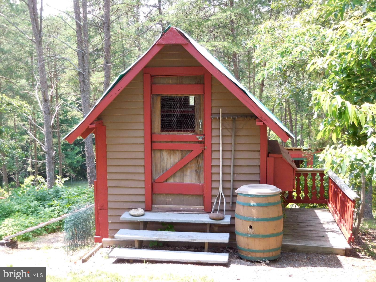 317 Aaron Mountain Road Castleton, VA 22716 - Photo 56 of 65 The Chicken Coop