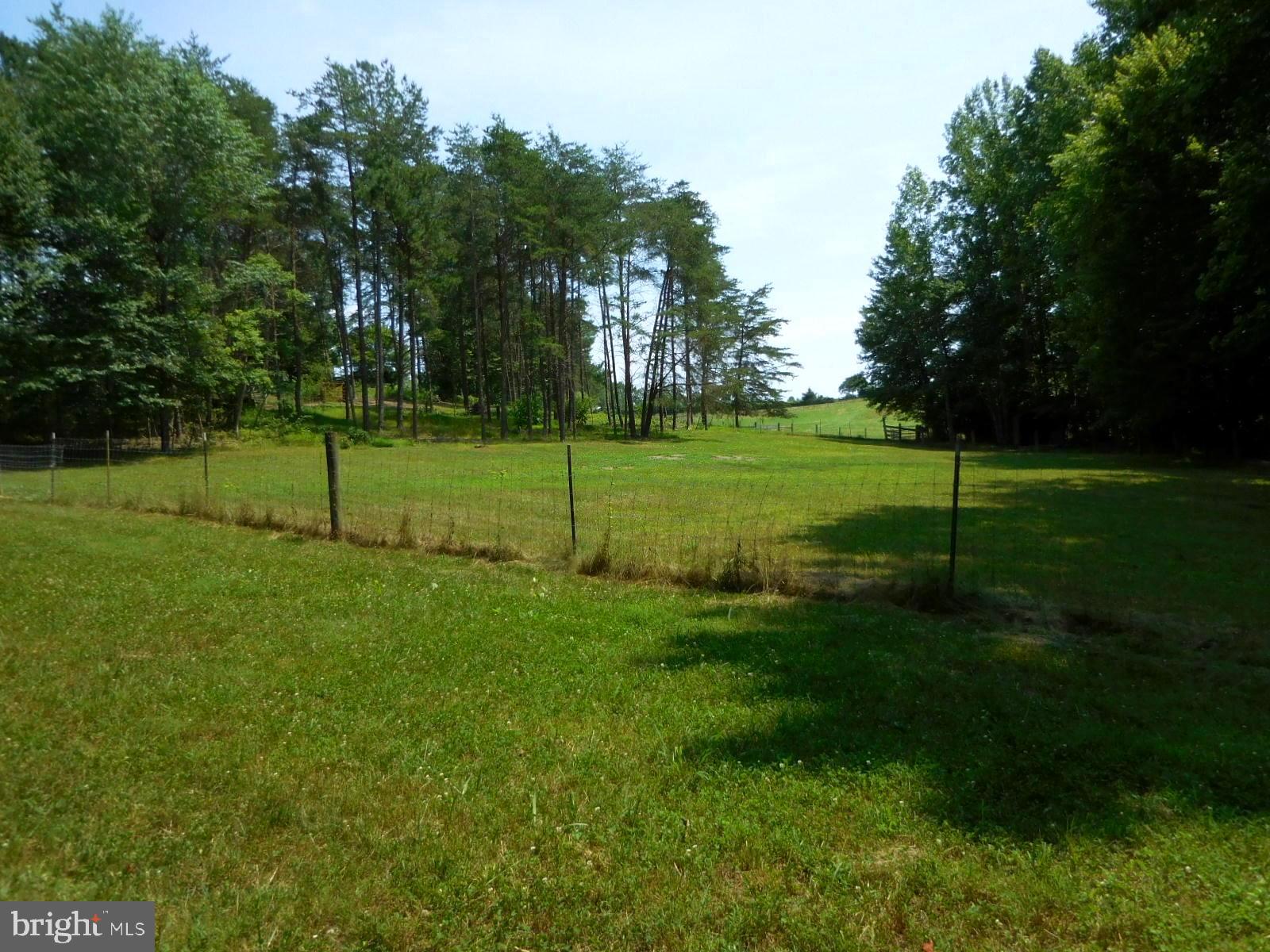 317 Aaron Mountain Road Castleton, VA 22716 - Photo 57 of 65 Lower Pasture
