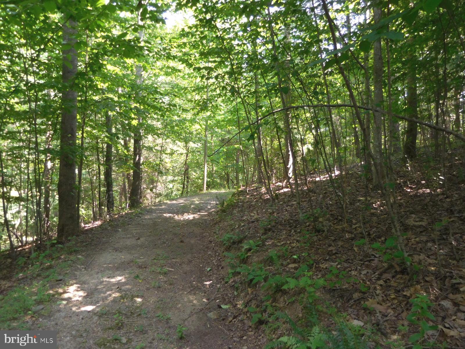 317 Aaron Mountain Road Castleton, VA 22716 - Photo 59 of 65 Well maintained walking trail