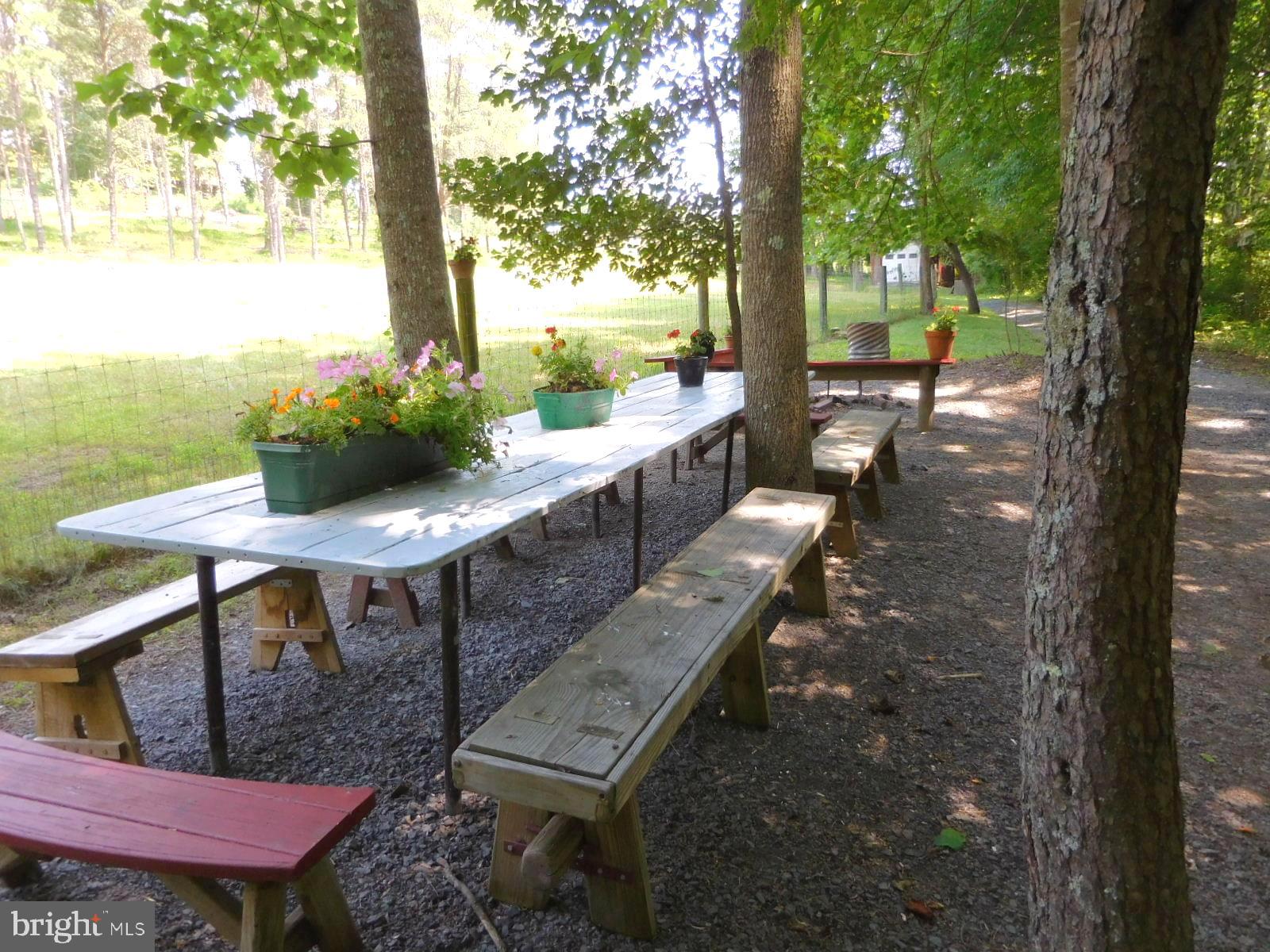 317 Aaron Mountain Road Castleton, VA 22716 - Photo 61 of 65 Lunch for 15 at the Picnic Pavilion !