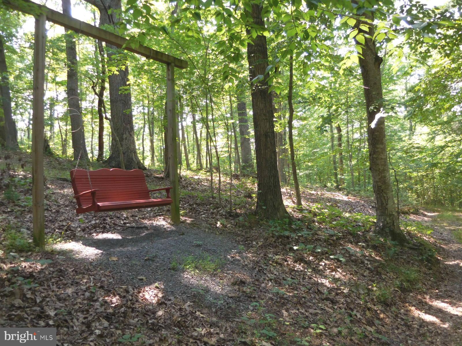 317 Aaron Mountain Road Castleton, VA 22716 - Photo 63 of 65 A quiet repose along the woods walk