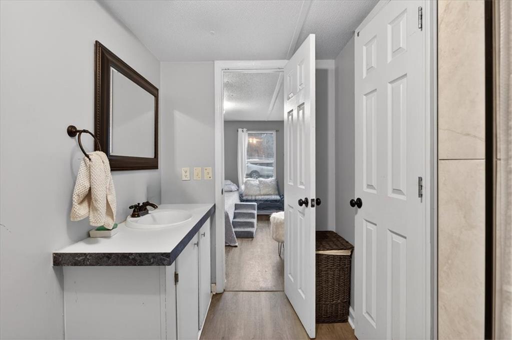 323 Ball Field Road Waleska, GA 30183 - Photo 13 of 39 a bathroom with a sink and a mirror