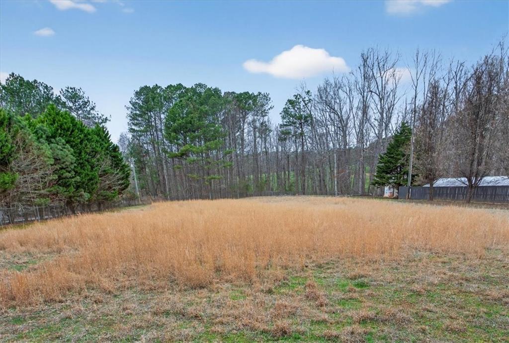 323 Ball Field Road Waleska, GA 30183 - Photo 31 of 39 a backyard of a house with lots of green space and trees