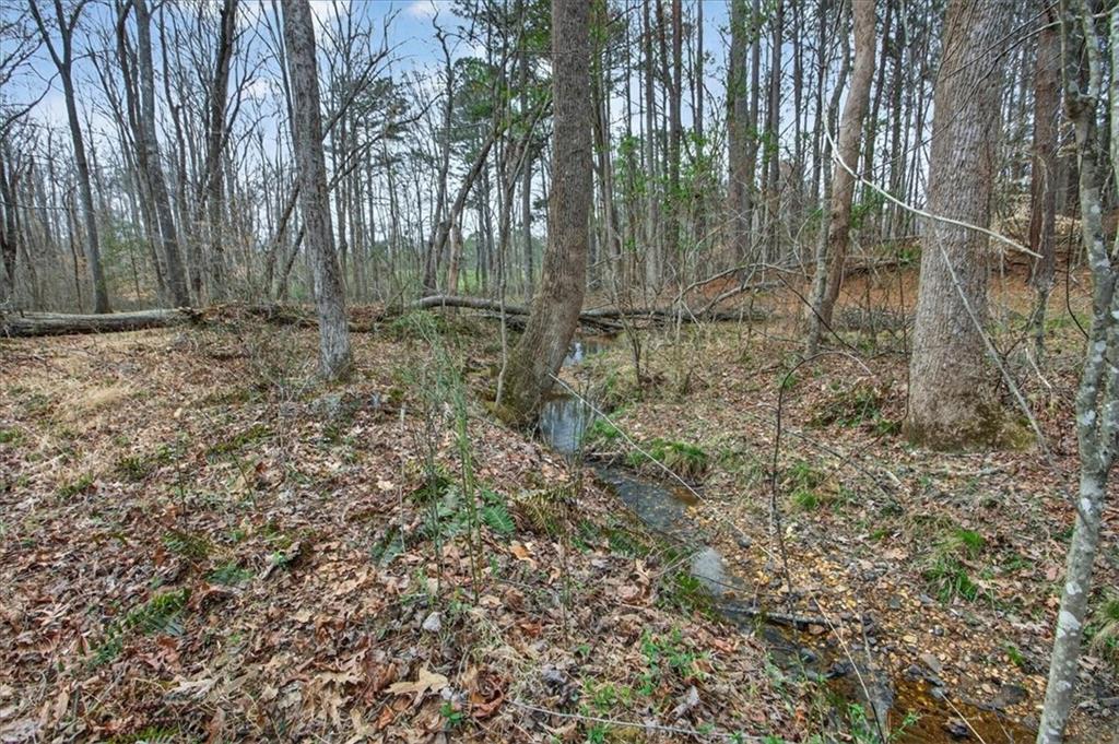 323 Ball Field Road Waleska, GA 30183 - Photo 38 of 39 a view of backyard with trees