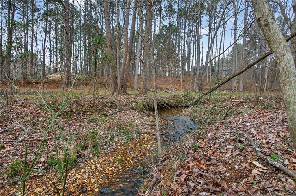 323 Ball Field Road Waleska, GA 30183 - Photo 39 of 39 a backyard of a house with lots of green space