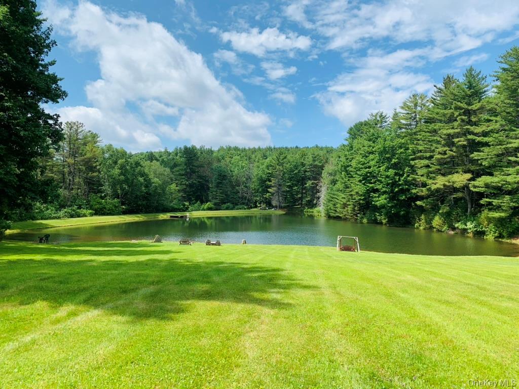 1837 Rich Road Franklin, NY 13775 - Photo 3 of 50