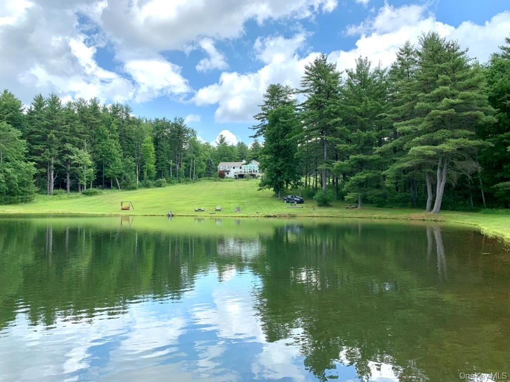 1837 Rich Road Franklin, NY 13775 - Photo 4 of 50 a view of a lake with a yard