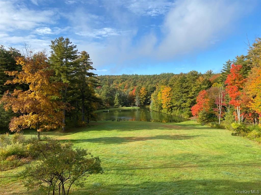 1837 Rich Road Franklin, NY 13775 - Photo 5 of 50 a view of a golf course with a lake