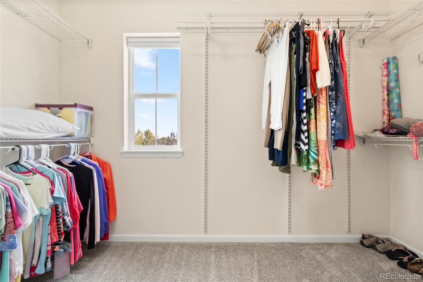 10415 Startrail Court Highlands Ranch, CO 80126 - Photo 31 of 49 a view of walk in closet with clothes and shoes