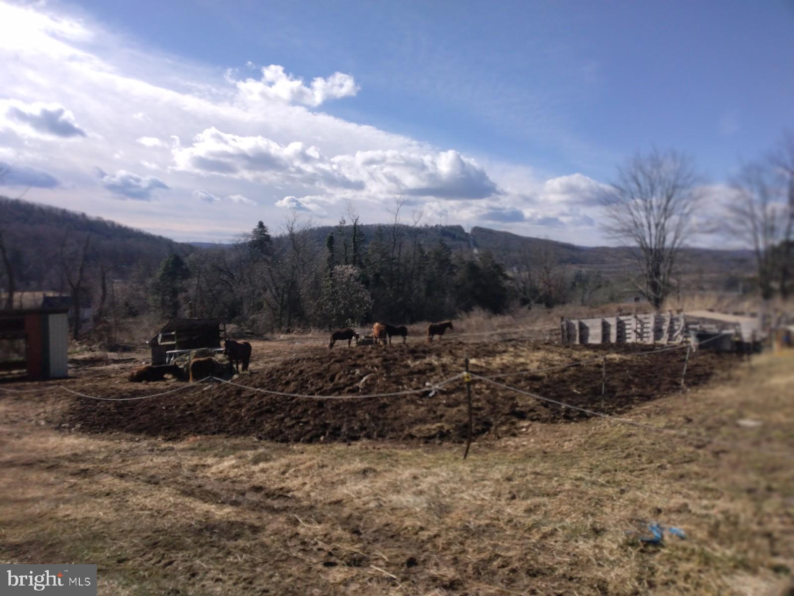 40 Ridge Road New Bloomfield, PA 17068 - Photo 2 of 7 a view of a backyard